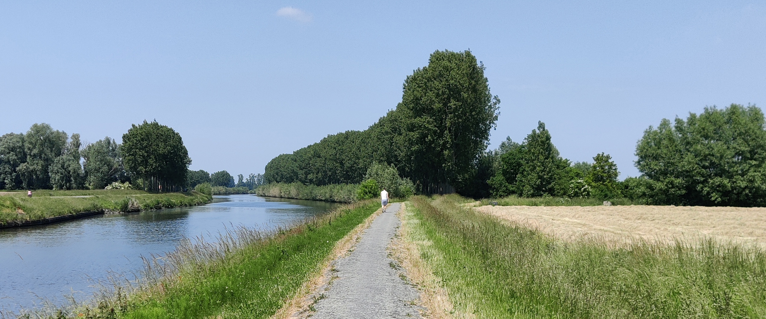 Scheldeloop